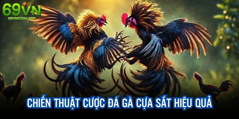 Chiến thuật cá cược hiệu quả, tăng tỷ lệ thắng cho người chơi