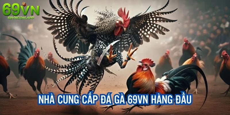 Chọi kê 69 VN với sự góp mặt của nhà cung cấp hàng đầu