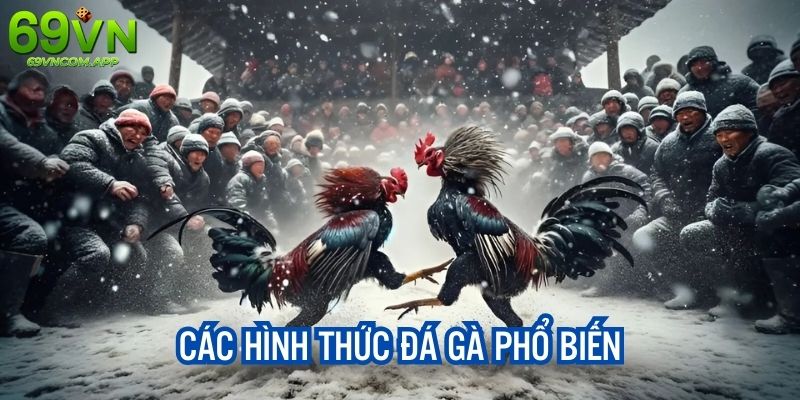 Các sản phẩm được tổ chức công khai, hợp pháp nên rất an toàn