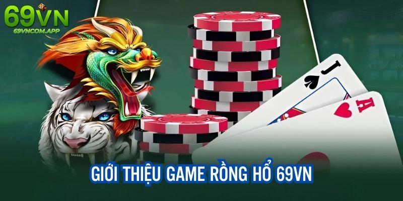 Giới thiệu tổng quát về Rồng Hổ 69VN